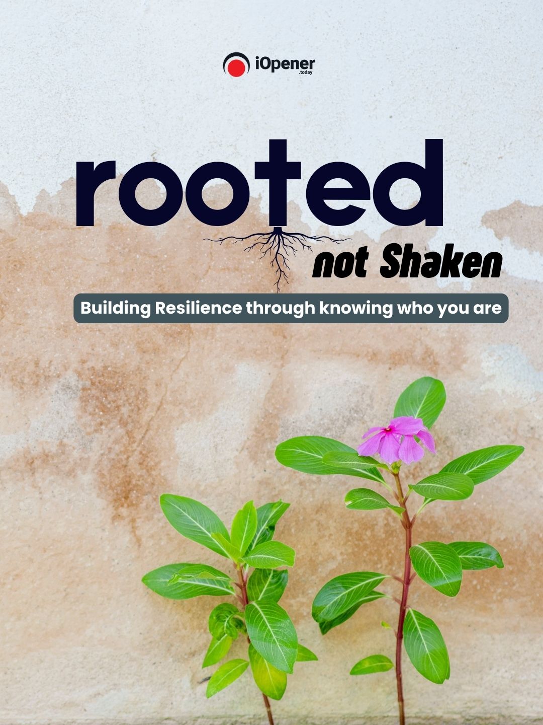 build resilience